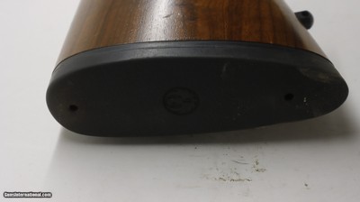 Ruger 77/17 17 HMR 22