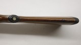 Ruger 77/17 17 HMR 22