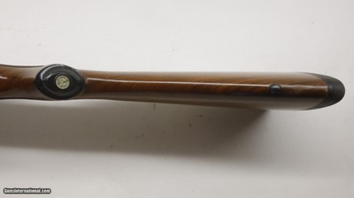 Ruger 77/17 17 HMR 22
