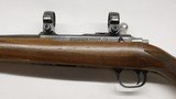 Ruger 77/17 17 HMR 22