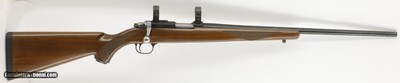 Ruger 77/17 17 HMR 22