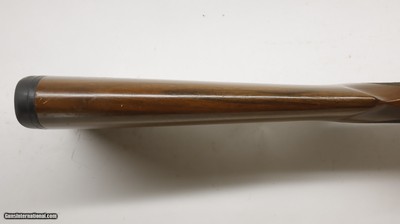 Ruger 77/17 17 HMR 22