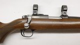 Ruger 77/17 17 HMR 22