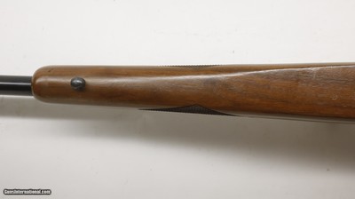Ruger 77/17 17 HMR 22