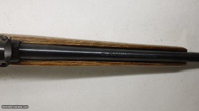 Ruger 77/17 17 HMR 22
