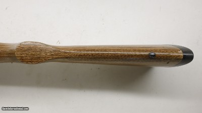 Ruger 77/17 17 HMR 22