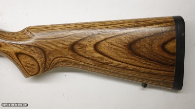 Ruger 77/17 17 HMR 22