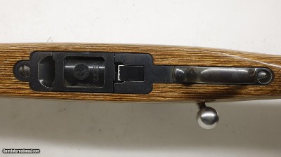 Ruger 77/17 17 HMR 22