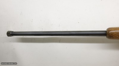 Ruger 77/17 17 HMR 22