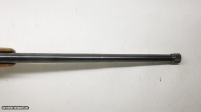 Ruger 77/17 17 HMR 22
