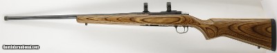 Ruger 77/17 17 HMR 22