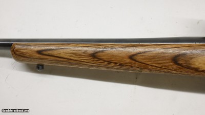 Ruger 77/17 17 HMR 22