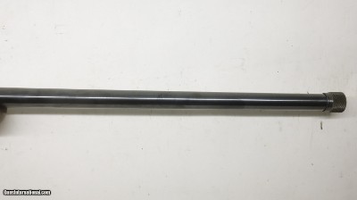 Ruger 77/17 17 HMR 22