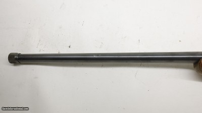 Ruger 77/17 17 HMR 22