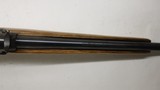 Ruger 77/17 17 HMR 22