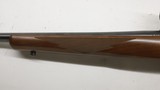 Ruger 77/17 17 HMR 17