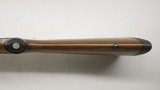 Ruger 77/17 17 HMR 17