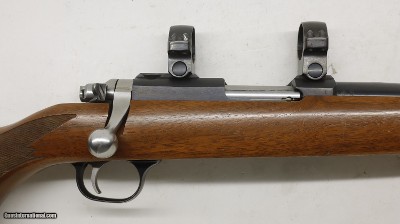 Ruger 77/17 17 HMR 22