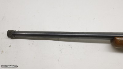 Ruger 77/22 22LR 20