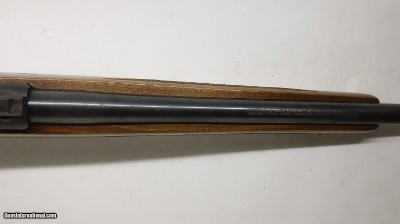 Ruger 77/22 22LR 20