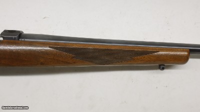 Ruger 77/22 22LR 20