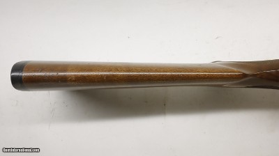 Ruger 77/22 22LR 20