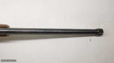Ruger 77/22 22LR 20