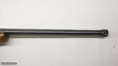 Ruger 77/22 22LR 20