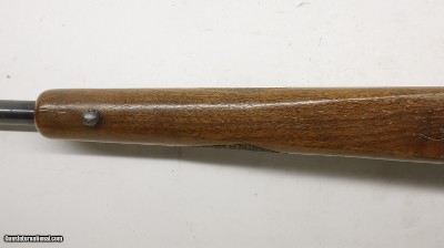 Ruger 77/22 22LR 20