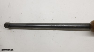 Ruger 77/22 22LR 20