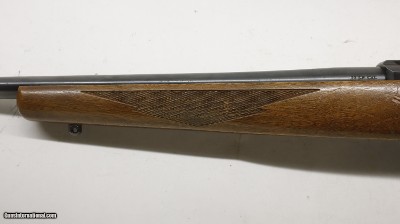 Ruger 77/22 22LR 20