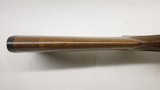 Ruger 77/22 22LR 20