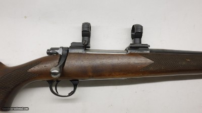 Sabatti Bolt action 243 Italian, 1" rings and bases