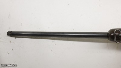 Browning A-Bolt Gold Medallion 22LR 22