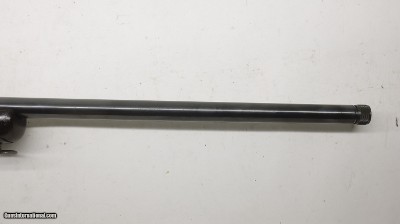 Browning A-Bolt Gold Medallion 22LR 22