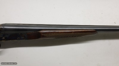 AyA number 4 Boxlock, 10ga 3.5