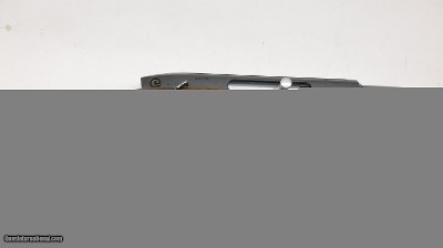 Weatherby XXII 22LR 18