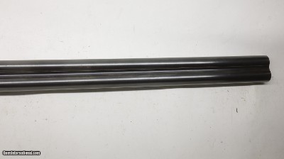 Midland Gun Co, English Boxlock 12ga 30