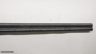 AyA Yeoman 12ga 28