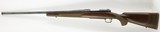 Winchester 70 SA Standard 243 Win 24