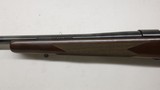 Winchester 70 SA Standard 243 Win 24