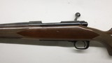 Winchester 70 SA Standard 243 Win 24