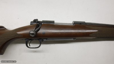 Winchester 70 SA Standard 243 Win 24