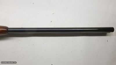 Zoli Boxlock deluxe 20ga 26