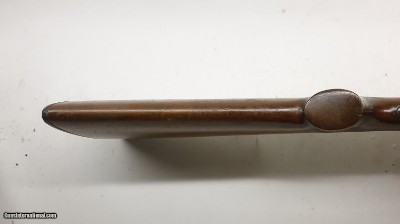 Zoli Boxlock deluxe 20ga 26