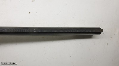 Zoli Boxlock deluxe 20ga 26