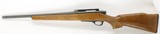 Remington Mohawk 600 6mm Rem 19