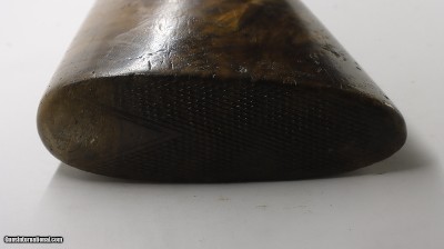 William Moore Hammer Faux 12ga 32