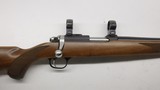 Ruger 77/17 17 HMR 22