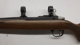 Ruger 77/17 17 HMR 22